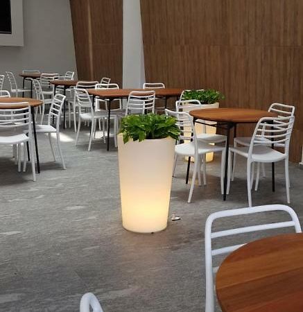 Quinto Elemento Hotel เม็กซิโกซิตี้ ภายนอก รูปภาพ