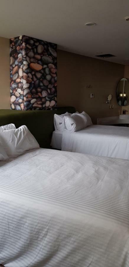 Quinto Elemento Hotel เม็กซิโกซิตี้ ภายนอก รูปภาพ